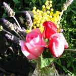 roses, acacia and lavendar from theGardenPages