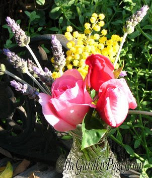 Pink Roses, Lavender And Yellow Acacia Flowers For #FloralFriday