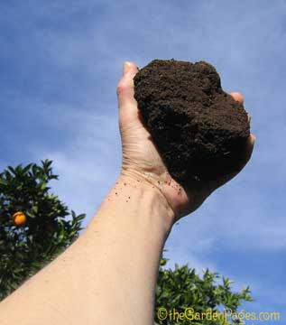 Eureka! California Black Gold In My Back Yard, Compost That Is