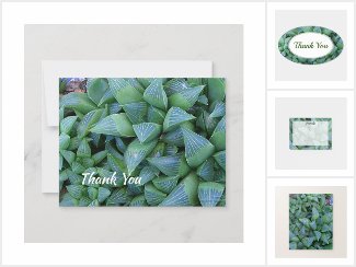 green haworthia succulent plants at thegardenpages store on Zazzle